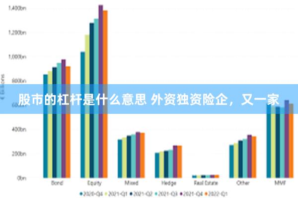 股市的杠杆是什么意思 外资独资险企，又一家