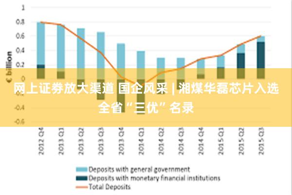 网上证劵放大渠道 国企风采 | 湘煤华磊芯片入选全省“三优”名录