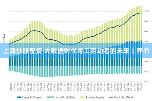 上海炒股配资 大数据时代零工劳动者的未来｜荐书