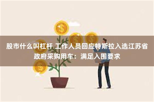 股市什么叫杠杆 工作人员回应特斯拉入选江苏省政府采购用车：满足入围要求