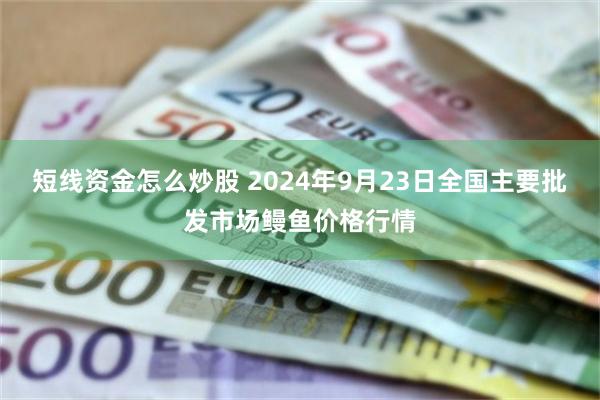 短线资金怎么炒股 2024年9月23日全国主要批发市场鳗鱼价格行情