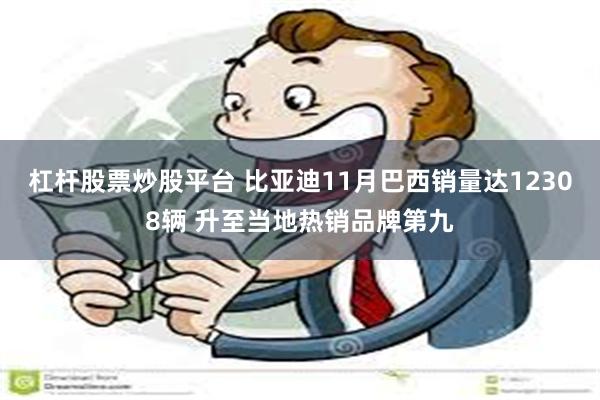 杠杆股票炒股平台 比亚迪11月巴西销量达12308辆 升至当地热销品牌第九