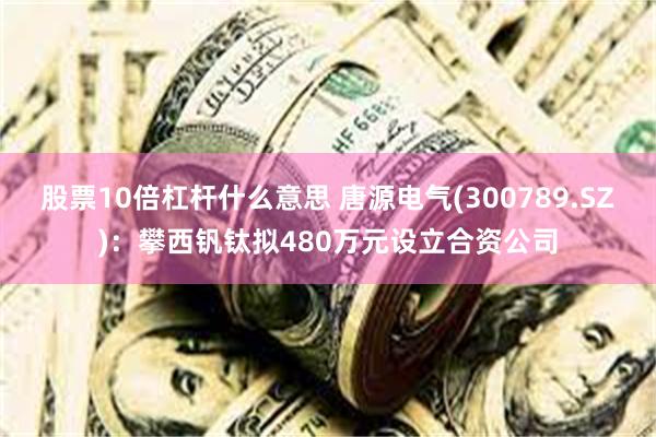 股票10倍杠杆什么意思 唐源电气(300789.SZ)：攀西钒钛拟480万元设立合资公司