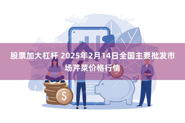 股票加大杠杆 2025年2月14日全国主要批发市场芹菜价格行情