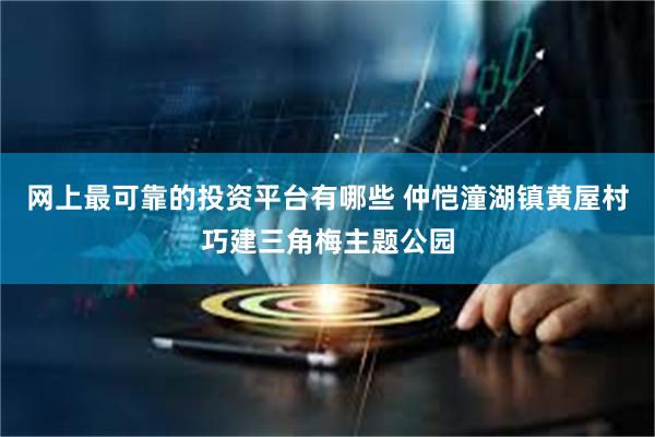 网上最可靠的投资平台有哪些 仲恺潼湖镇黄屋村巧建三角梅主题公园